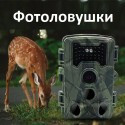 фотоловушка